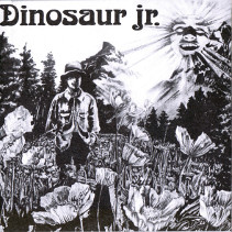 A Dinosaur Jr. Discography